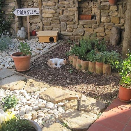 Rosandra Bed and Breakfast San Dorligo della Valle Buitenkant foto