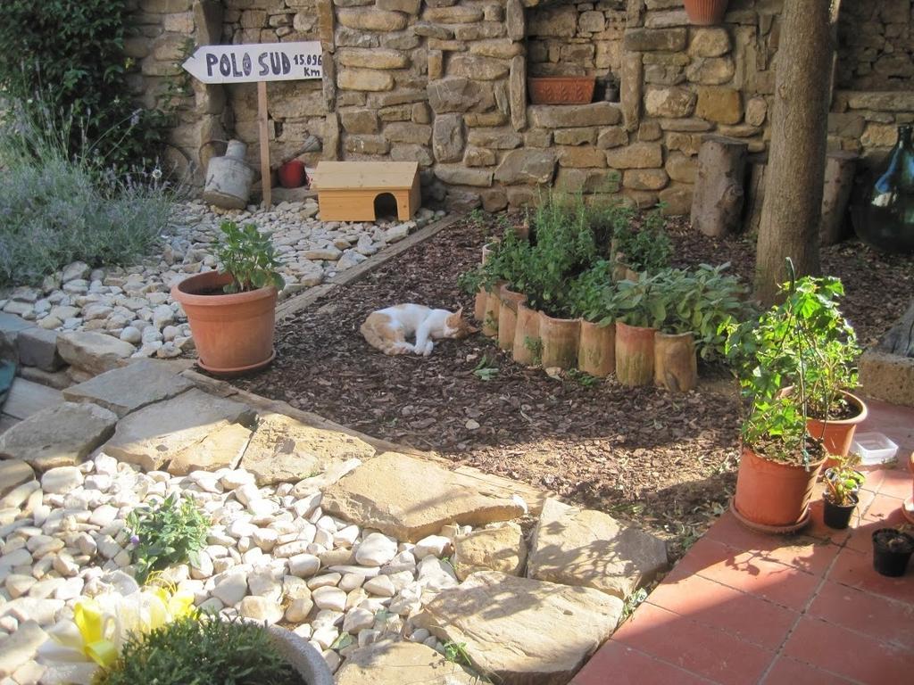 Rosandra Bed and Breakfast San Dorligo della Valle Buitenkant foto