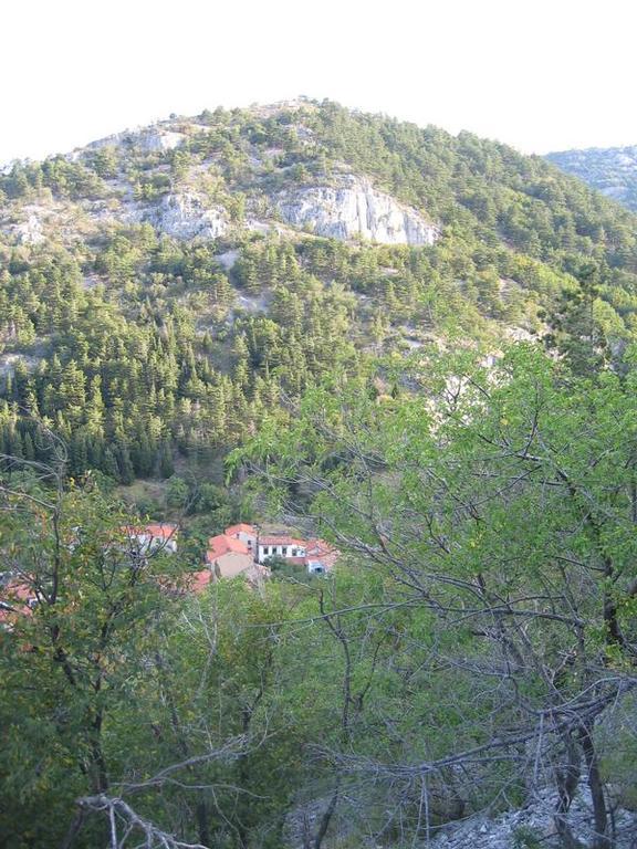 Rosandra Bed and Breakfast San Dorligo della Valle Buitenkant foto