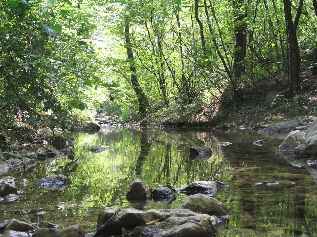 Rosandra Bed and Breakfast San Dorligo della Valle Buitenkant foto